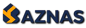 Logo Baznas Palu